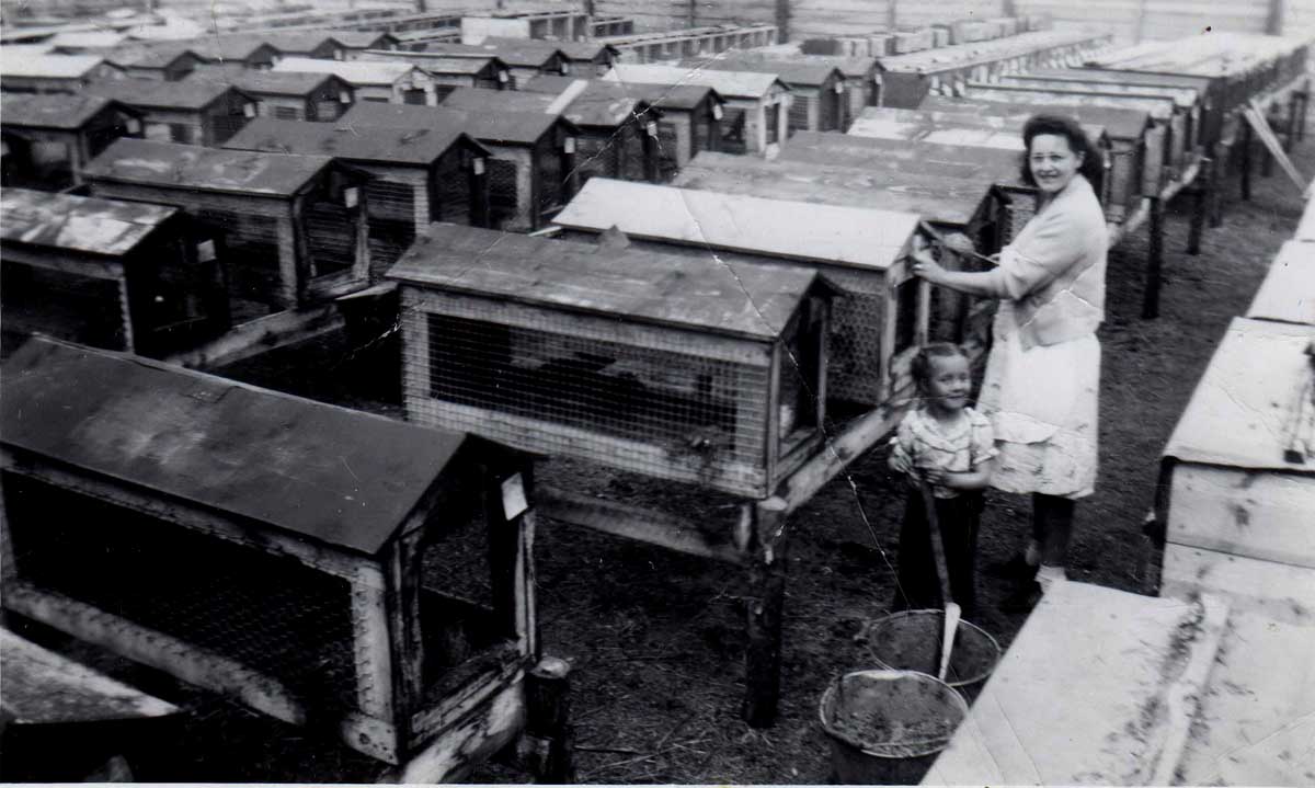 Mom and Louise Feeding Mink 1947